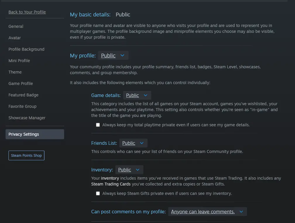 Steam privacy settings